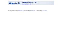 Tablet Screenshot of hammondseo.com